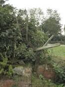 ugyhuyg